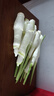 良知農(nóng)哥高山新鮮茭白 農(nóng)家新鮮蔬菜高筍 茭瓜 健康輕食 5斤 順豐快遞 【帶殼發(fā)貨】 曬單實拍圖