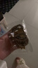 奶茶色5件套兒童頭繩大腸發(fā)圈女高馬尾橡皮筋ins卡通發(fā)飾發(fā)繩 奶咖系小腸圈5件套-款式混發(fā) 曬單實拍圖
