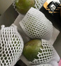 京鮮生 攀枝花凱特芒 凈重8.5斤 帶箱9斤 單果600g+ 生鮮水果 源頭直發(fā) 曬單實(shí)拍圖