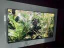 索尼（SONY）2025新品 X90L升級款 75英寸 索尼電視5系 MiniLED XR芯片 K-75XR50 一級能效 國家補貼 曬單實拍圖