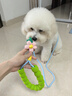 TAIGEPETS狗狗牽引繩p繩p鏈小型大型中型犬狗鏈牽狗遛狗訓(xùn)犬寵物防爆沖狗繩 海茵藍(lán)【100斤內(nèi)】長(zhǎng)1.6m粗0.6cm 曬單實(shí)拍圖