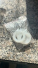 FANCYCHICPPR活接墊子暖氣片密封墊管道墊片油任墊硅膠墊球閥墊圈分分寸 6分加厚PPR活接墊(5個(gè)裝) 曬單實(shí)拍圖