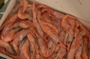 鮮京采 原裝進口格陵蘭北極甜蝦刺身2斤裝 90-150只/kg 即食 MSC認證 曬單實拍圖
