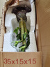 幼薇富貴竹室內(nèi)植物節(jié)節(jié)高桌面綠植帶根好養(yǎng)步步高花卉文昌竹客廳盆栽 富貴竹叢林+紫砂盆+圓形底盤 帶盆栽好 曬單實(shí)拍圖