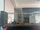 創(chuàng)寧變頻潛水泵 CN-9500-25W 10檔流量調(diào)節(jié) 魚缸假山噴泉池循環(huán)抽水 曬單實拍圖