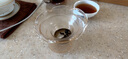 左茗右器玻璃茶濾茶漏器 泡茶器茶濾網(wǎng) 功夫茶道茶具配件公道杯過(guò)濾 玻璃-遠(yuǎn)山茶濾 曬單實(shí)拍圖