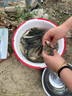 神鯊黑韌魚竿手竿3.6米超輕超細(xì)碳素鯽魚竿37調(diào)釣魚竿臺(tái)釣竿漁具套裝 曬單實(shí)拍圖