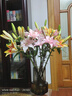 SLOVIMA詩(shī)洛唯曼 進(jìn)口水晶玻璃花瓶 藝術(shù)花瓶 風(fēng)燈 北歐風(fēng)格花瓶 vase 大號 煙灰色 曬單實(shí)拍圖