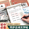 書行 初中古詩文練字帖同步人教版教材八年級(jí)上冊(cè)初中生語文必背古詩文言文練習(xí)冊(cè)詩詞積累字帖 曬單實(shí)拍圖