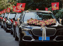 雪束婚車裝飾主婚車花拉花車隊結(jié)婚布置套裝全套仿真花主婚車2025新款 卡布奇諾【非質(zhì)量出庫后不退換】 曬單實拍圖