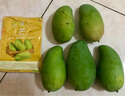京鮮生 廣西生吃大青芒 大果4.5斤裝單果400g起 生鮮水果源頭直發(fā) 曬單實(shí)拍圖