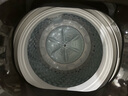 小天鵝（LittleSwan）波輪洗衣機(jī)全自動(dòng) 8公斤 一級(jí)能效 除菌螨 家電國家補(bǔ)貼20% 【TB80V26DT】 宿舍租房神器 以舊換新 曬單實(shí)拍圖