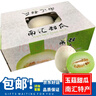 兄盟鮮果正宗南匯特產(chǎn)玉菇甜瓜當季時(shí)令新鮮水果白皮青瓤玉菇白瓜 精選大果帶箱11-12斤3-4個(gè)裝 曬單實(shí)拍圖