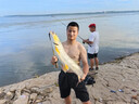 SHIMANO禧瑪諾22款斯泰拉紡車輪STELLA路亞輪遠(yuǎn)投海釣魚線輪喜瑪諾史泰拉 22款C2500SXG 左右手互換型 曬單實(shí)拍圖