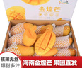 譯優(yōu)農(nóng)正宗海南芒果三亞金煌芒新鮮熱帶水果當(dāng)季水仙特大甜心芒特產(chǎn)送禮 凈重9斤大果【單果400g+】 曬單實拍圖