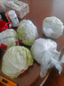 良知農(nóng)哥 【順豐可選】球生菜新鮮圓生菜西生菜西餐沙拉蔬菜 5斤 順豐 曬單實(shí)拍圖