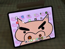 Apple/蘋果 iPad Pro 11英寸 M4芯片 2024年新款平板電腦(256G WLAN版/MVV93CH/A)銀色 曬單實拍圖
