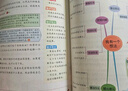 陽光同學 2025秋新版 同步作文小達人 三年級上冊語文人教版 小學生三年級作文書上冊同步寫作范文作文書大全寫作技巧專項訓練 曬單實拍圖