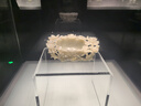 心相印x三麗鷗濕廁紙80片*5包 純水濕紙巾溫和潔凈 大耳狗款包裝隨機(jī) 曬單實(shí)拍圖