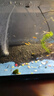 瘋狂水草亞馬遜水草泥和種子 魚缸水草泥造景套餐水草缸底砂底沙 水藻泥2L 曬單實拍圖