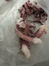 冷凍帶脖魷魚須 燒烤火鍋食材 去牙去頭二本足 鐵板魷魚爪 帶脖魷魚須 4斤(凈重) 曬單實拍圖