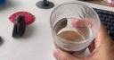 炫野耐熱玻璃杯掛耳咖啡杯拿鐵冰美式專(zhuān)用杯復古高顏值辦公室防燙茶杯 龍卷風(fēng)木環(huán)杯 450ml 1只 曬單實(shí)拍圖