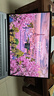 聯(lián)想小新Pro16 2025輕薄筆記本電腦 2代酷睿Ultra5 32G 1T 2.8K OLED 120Hz 1100nits【國(guó)家補(bǔ)貼20%】 曬單實(shí)拍圖
