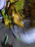 海南金煌芒水仙的芒凱特的芒果黃金芒新鮮當(dāng)季水果大青的芒大芒果 5斤大果裝（單果300-400g） 曬單實拍圖