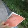 【新華書(shū)店正版】2025新版適用人教版初一7七年級(jí)上冊(cè)語(yǔ)文書(shū)七年級(jí)語(yǔ)文上冊(cè)人民教育出版社義務(wù)教育教科書(shū) 七年級(jí)語(yǔ)文人教版 七年級(jí)語(yǔ)文書(shū)上冊(cè)人教版 初一語(yǔ)文人教版 七年級(jí)上冊(cè)語(yǔ)文 曬單實(shí)拍圖