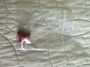 今傳福朱砂帝王砂三角三通佛頭星月金剛菩提108長(zhǎng)串三通配飾DIY配 15*12*8.8mm 曬單實(shí)拍圖