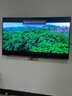 海信電視小墨E5Q Pro 55英寸 超畫質(zhì)U+Mini LED 信芯芯片 柔光防眩屏 288Hz高刷 E5NPRO升級(jí) 國(guó)家補(bǔ)貼 曬單實(shí)拍圖