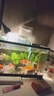闊庭（KUOTING）魚缸懶人魚缸家用客廳辦公室水培吊籃金魚缸過濾魚缸黑色款 曬單實(shí)拍圖