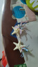 海洋系列發(fā)邊夾永生花海星貝殼漿果頭飾海邊旅游度假拍照發(fā)飾女 藍(lán)+粉花朵海星發(fā)夾-2個(gè) 曬單實(shí)拍圖