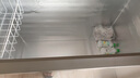 海爾（Haier）【零下35度】速凍超低溫冰柜家用無需除霜300升以上全冷凍柜新一級能效省電商用大容量臥式冷柜 297L 無需除霜【零下35度】長1.1米 曬單實拍圖