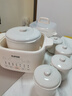 蘇泊爾（SUPOR）電燉盅電燉鍋隔水燉煮家用煲湯鍋燕窩燉盅4.5L燉湯鍋蒸燉一體多功能鍋DZ25FC873【國家補貼】 曬單實拍圖