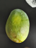 京鮮生 攀枝花凱特芒果 凈重4.5斤 單果600g 生鮮水果 源頭直發(fā) 曬單實(shí)拍圖