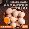 密農(nóng)人家新鮮土雞蛋 正宗農(nóng)家土雞蛋 生鮮雞蛋 柴雞蛋農(nóng)家笨雞蛋包郵 60枚 曬單實(shí)拍圖