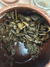 中茶 2007年6151十五年存放普洱茶生茶 老茶 云南七子餅 380克*1片 曬單實(shí)拍圖