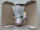 仟草集帶盆帶土重瓣麗格海棠玫瑰海棠花盆栽帶花發(fā)貨客廳陽 公主粉 曬單實(shí)拍圖