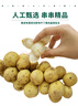 農(nóng)味族順豐泰國進(jìn)口龍宮果椰色果新鮮熱帶水果龍貢果稀缺品種孕婦 1斤（常溫儲存，不能放入冰箱） 曬單實(shí)拍圖