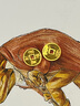 行金銀中足金999五帝幣手鏈轉(zhuǎn)運珠金錢幣DIY編繩手串手繩 生日禮物 乾隆通寶（克重多退少補） 約0.5g 曬單實拍圖