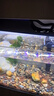 吉印刀鋒s魚缸燈led燈防水全光譜魚缸照明燈水草燈小型超白魚燈56cm 曬單實(shí)拍圖