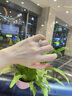 DR心形一克拉莫桑石愛心鉆戒求婚戒指送女友老婆生日禮物 曬單實(shí)拍圖