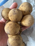 優(yōu)味集泰國(guó)龍宮果【順豐JD】進(jìn)口熱帶水果孕婦龍貢愛情果稀有獵奇大果 250g凈重裝（商超級(jí)5A果嘗鮮） 商超級(jí)5A大果 曬單實(shí)拍圖