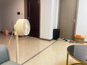 西佑空氣循環(huán)扇電風(fēng)扇家用風(fēng)扇臺式搖頭小風(fēng)扇立式換氣扇輕音電扇大風(fēng)量交流定頻落地扇 曬單實拍圖