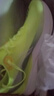 李寧（LI-NING）【5折優(yōu)惠】赤兔8PRO跑步鞋男2025年新款?輕彈科技競(jìng)速跑步鞋 綠色/-4【涂碼取芯片】 41 (255mm) 曬單實(shí)拍圖
