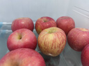 佳農(nóng) 煙臺(tái)紅富士蘋(píng)果 9-12粒裝 單果200g以上 禮盒裝 生鮮水果 曬單實(shí)拍圖