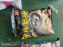釣魚(yú)王羅非散炮專(zhuān)攻大非魚(yú)餌黑坑窩料羅非魚(yú)專(zhuān)用餌料鯪魚(yú)餌野釣鳳梨味 羅非散炮+羅非散炮鳳梨 曬單實(shí)拍圖