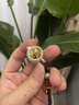 9999足銀把把壺鏈掛件掛繩麻將胡牌創(chuàng)意純銀鑰匙扣掛件送禮物 足銀把把壺【手機(jī)鏈】 曬單實(shí)拍圖