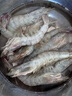 鮮馳蝦 國產(chǎn)青島大蝦 青蝦白蝦海蝦基圍蝦冷凍生鮮 蝦類 海鮮水產(chǎn) 氣凍大蝦 3斤(凈重)  15-18cm【單只凍 特大蝦】 曬單實拍圖
